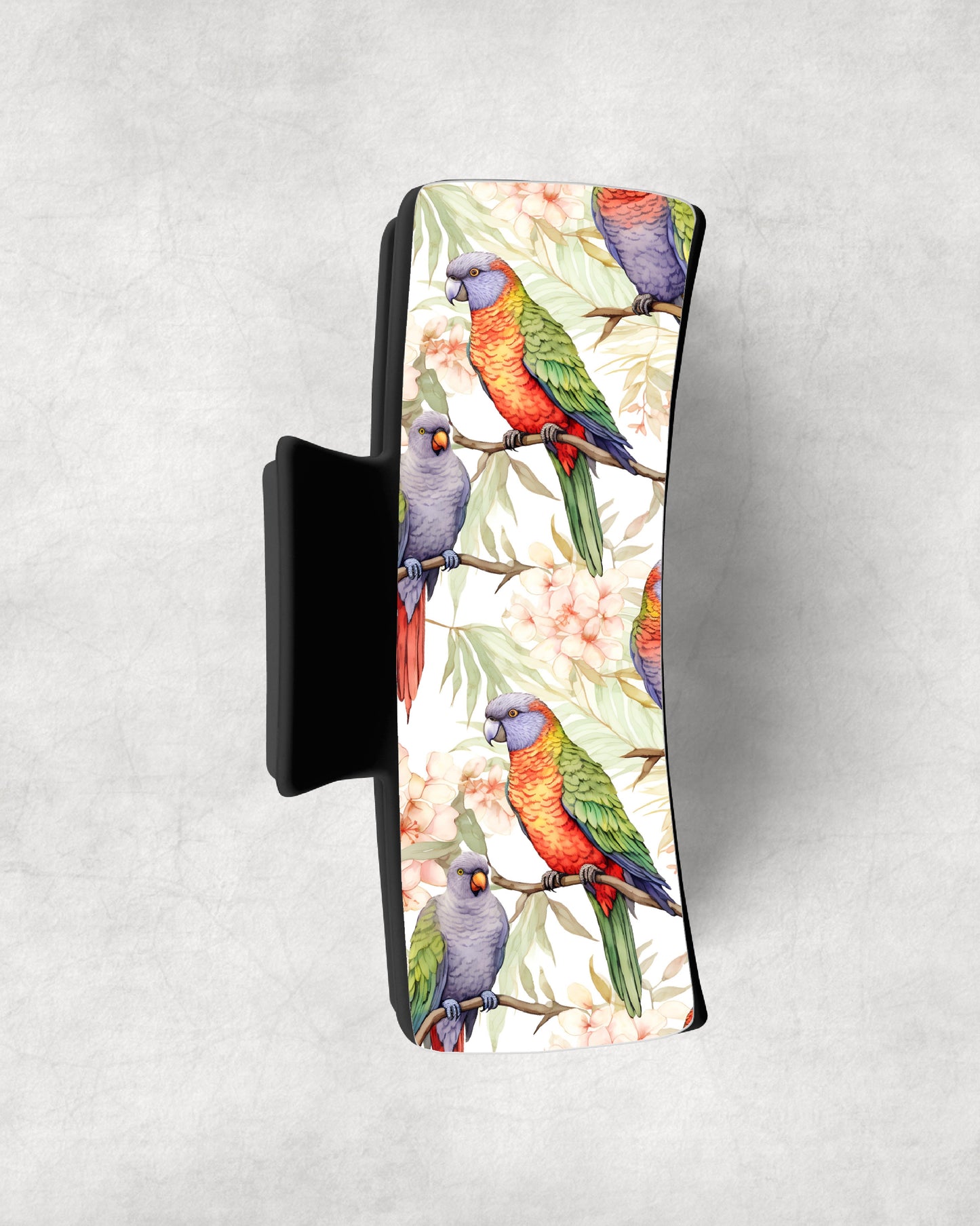 Springtime Lorikeets Eyewear Frame Toppers