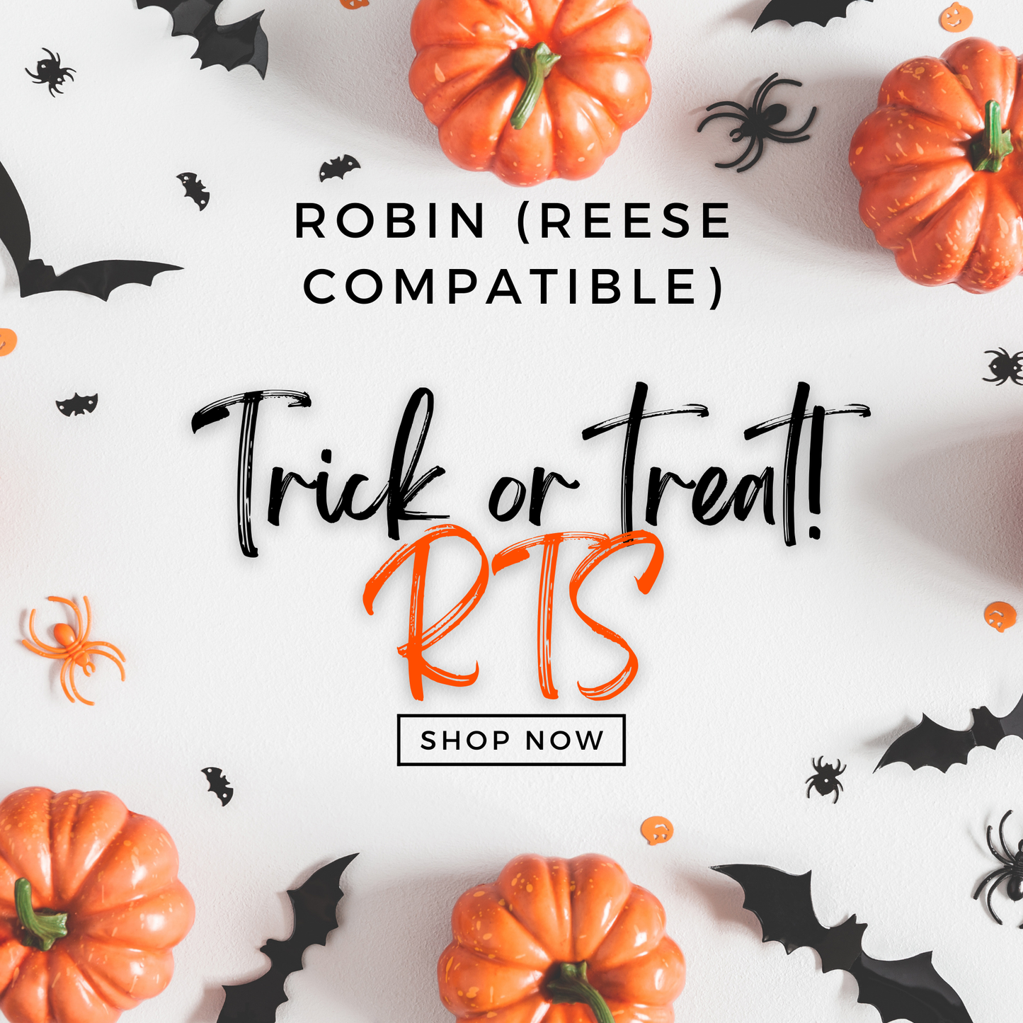 Robin • Spooky Ready to Ship Event September 20th