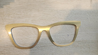 Satin Champagne Naked Collection - Eyeglasses Cover - Comes with Magnets