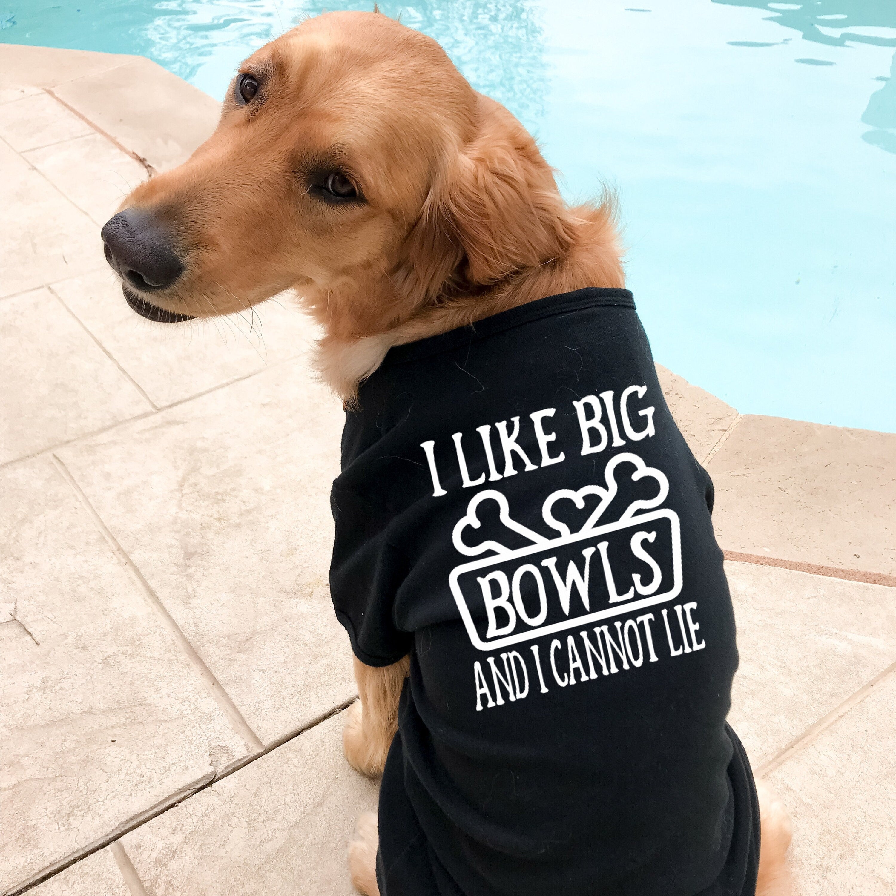 I Like Big Bowls and I Cannot Lie Dog Tank Shirt Sizes for any