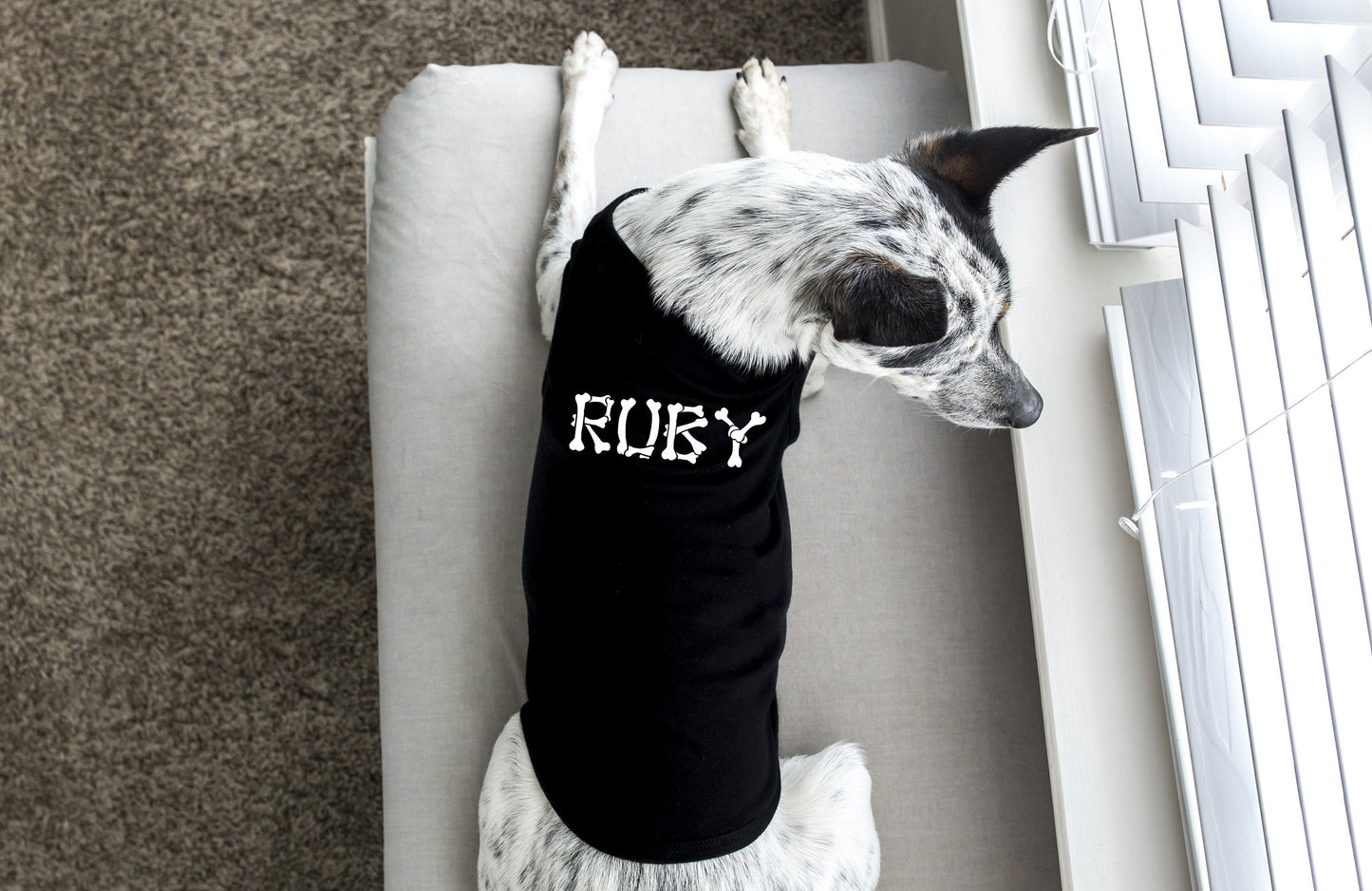 Personalized Dog Tank Shirt - Sizes for any dog breed - shirt for dog - dog lover gift - custom dog shirt - dog clothes - custom name shirt