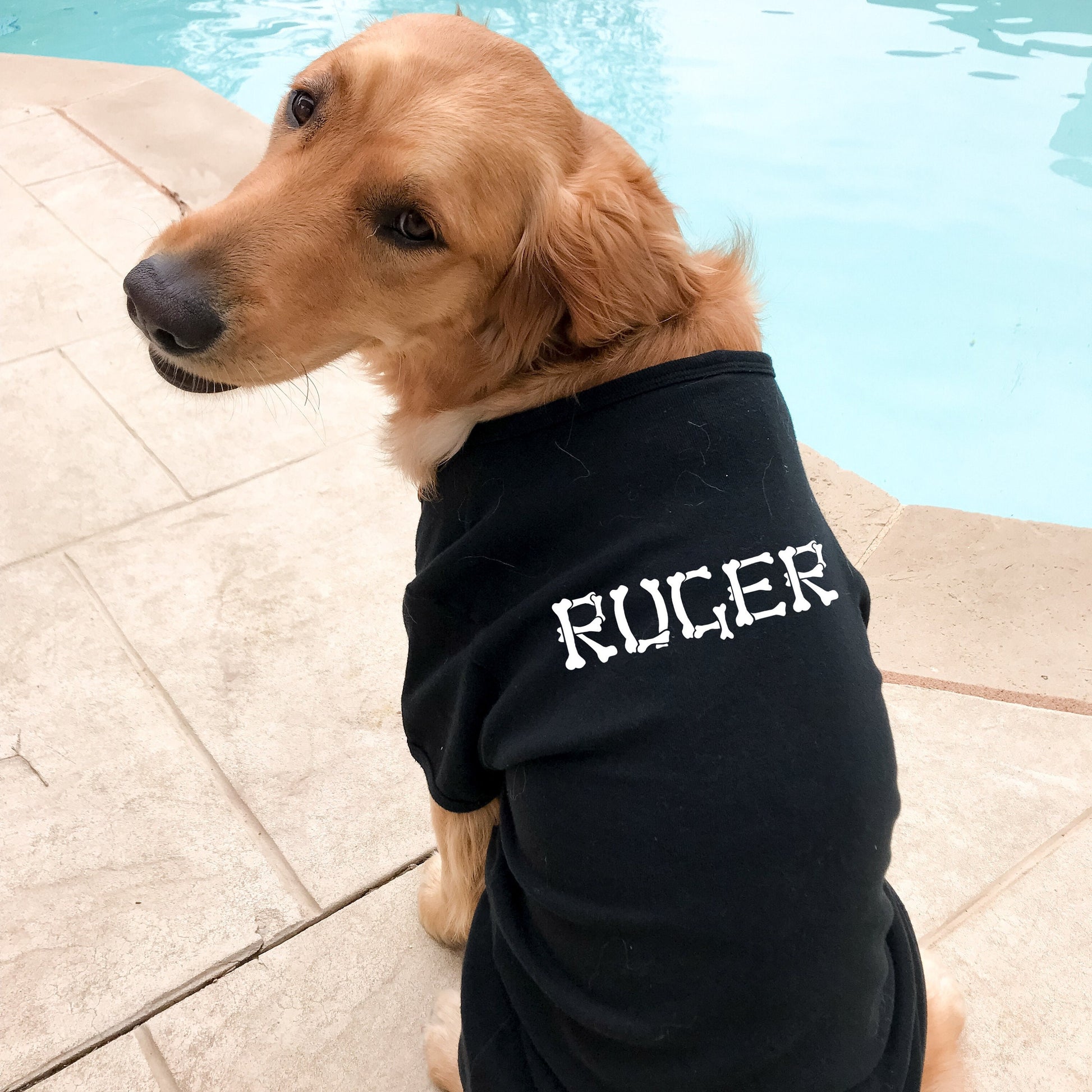 Personalized Dog Tank Shirt - Sizes for any dog breed - shirt for dog - dog lover gift - custom dog shirt - dog clothes - custom name shirt