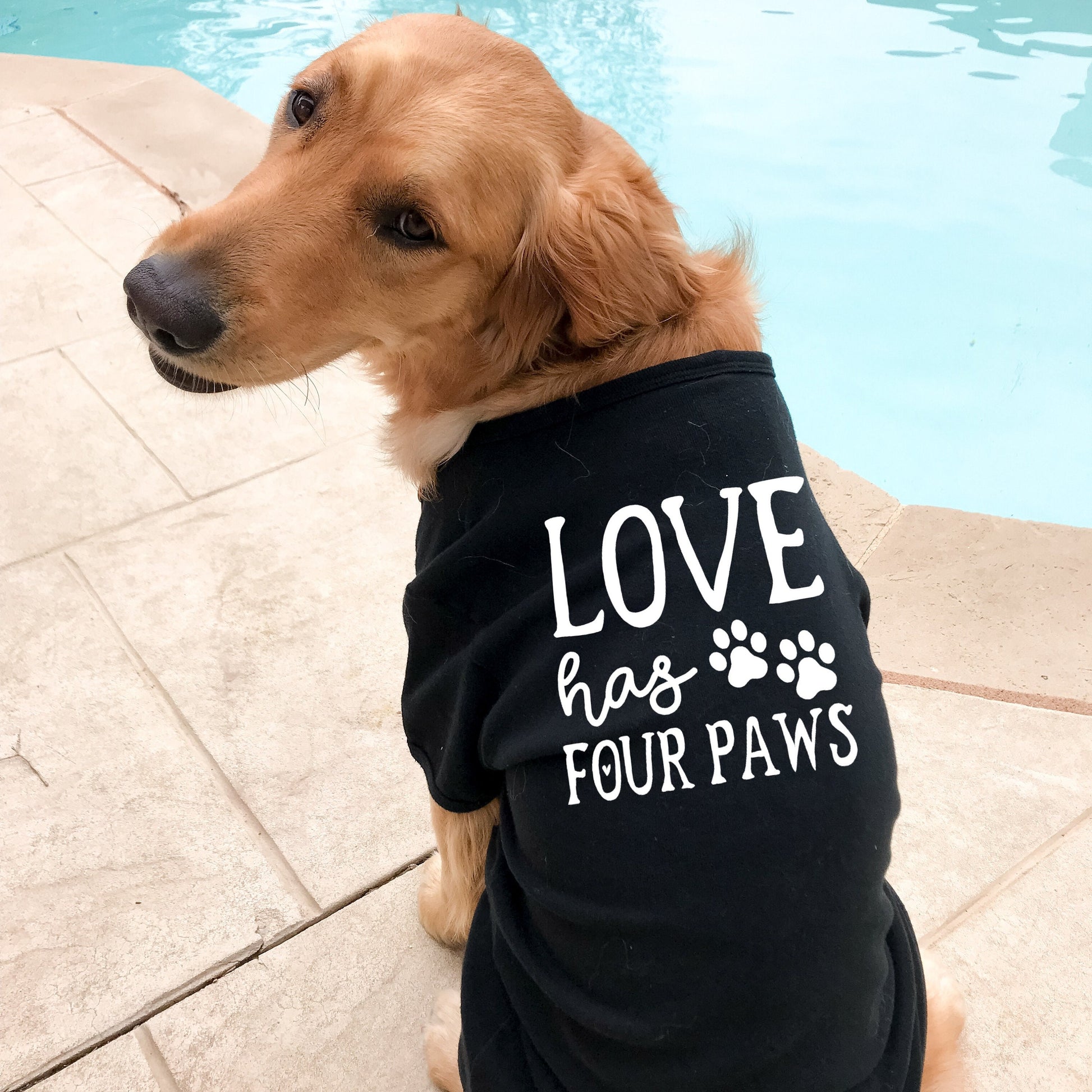 Love Has Four Paws Tank Shirt - Sizes for any dog breed - shirt for dog - dog lover gift - dog clothes