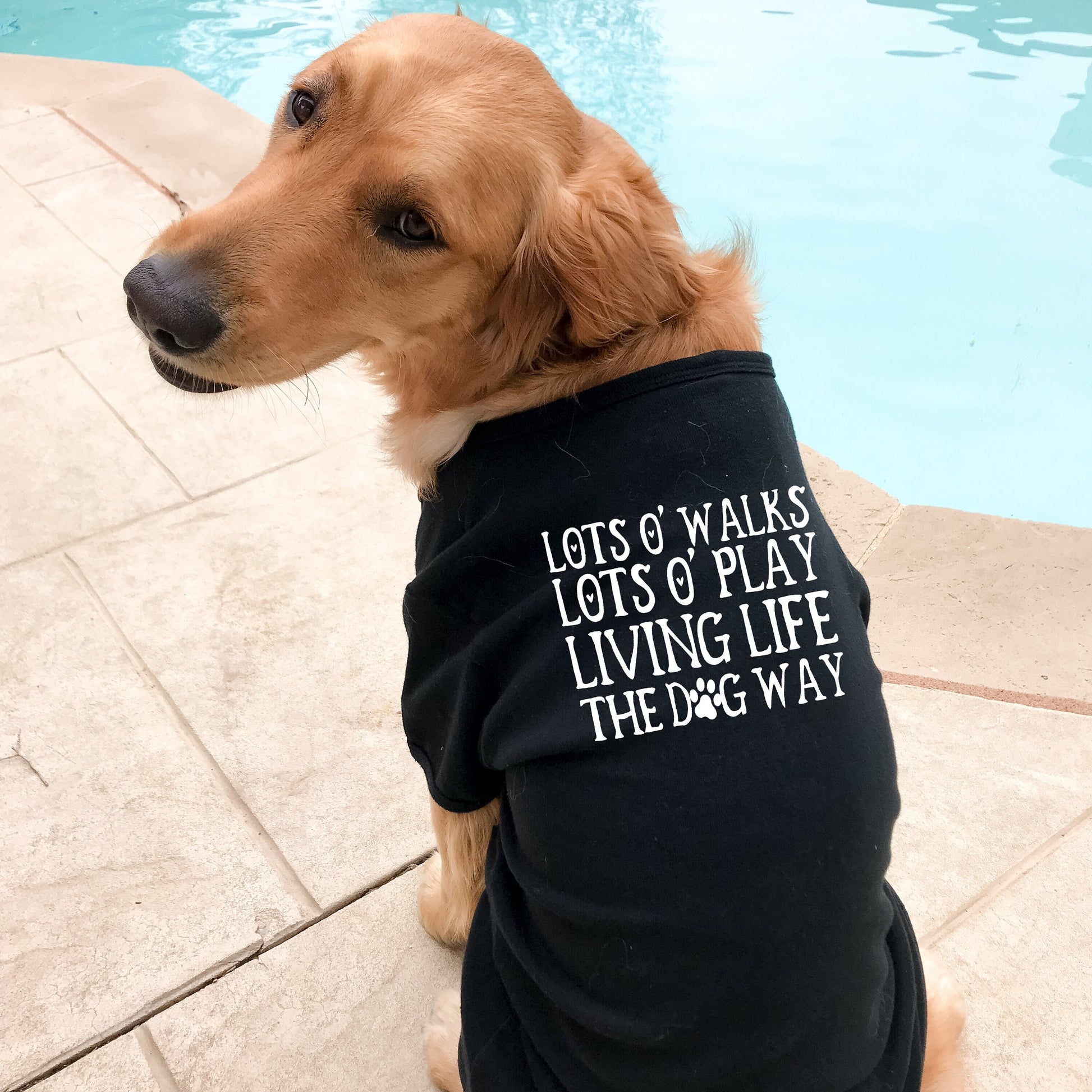 Lots O Walks Lots O Play Living Life the Dog Way Dog Tank Shirt - Sizes for any dog breed - shirt for dog - dog lover gift - dog clothes