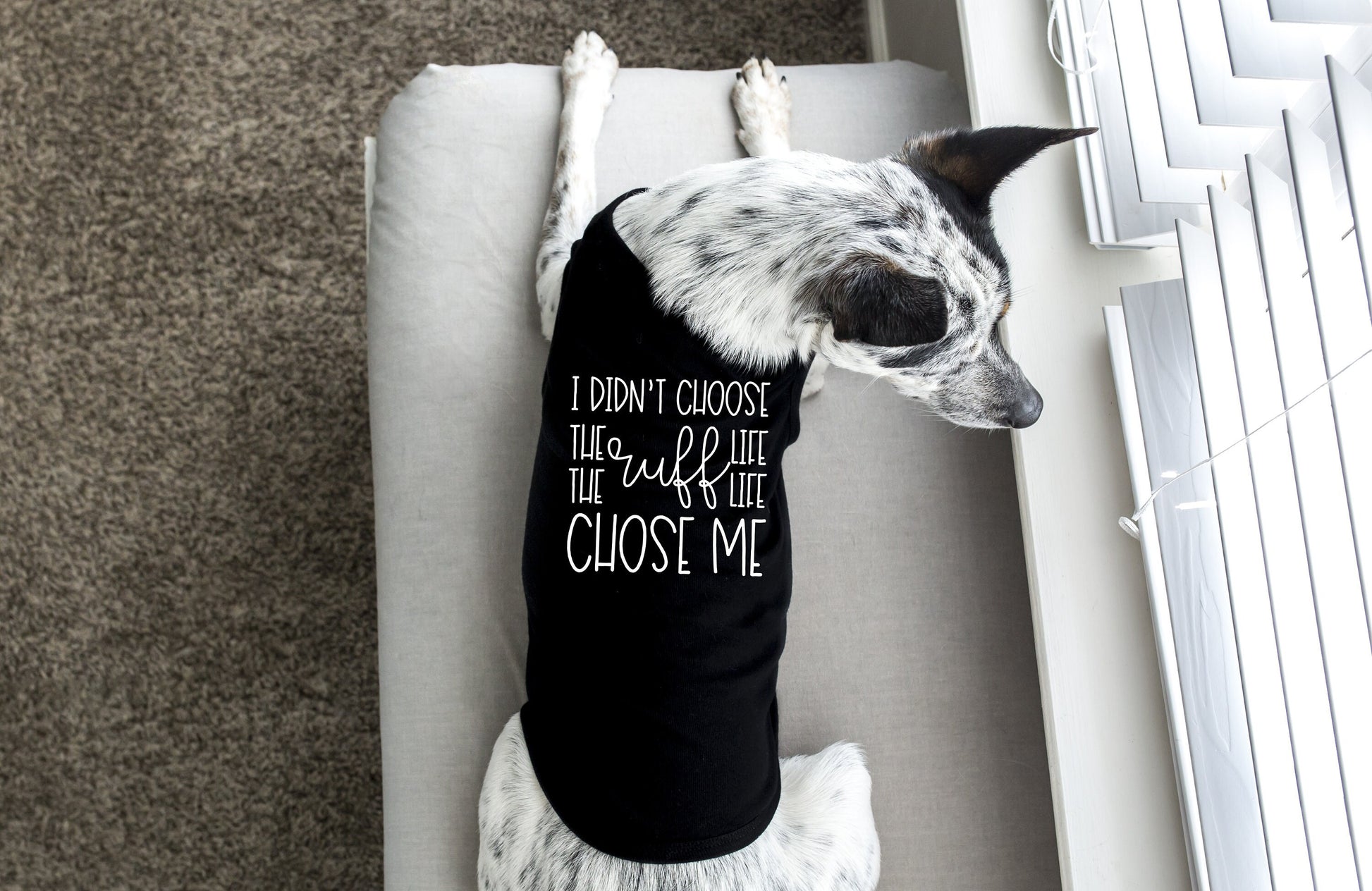 I Didn't Choose the Ruff Life the Ruff Life Chose Me Dog Tank Shirt - Sizes for any dog breed - shirt for dog - dog lover gift - dog clothes