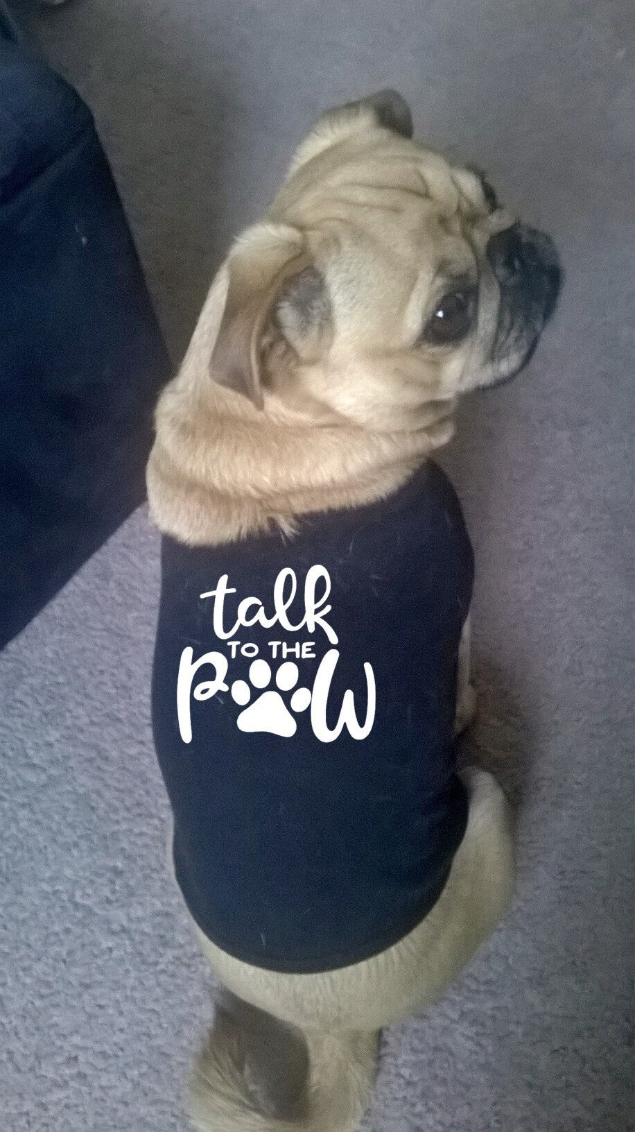 Talk to the Paw Dog Tank Shirt - Sizes for any dog breed - shirt for dog - dog lover gift - custom dog shirt - dog clothes