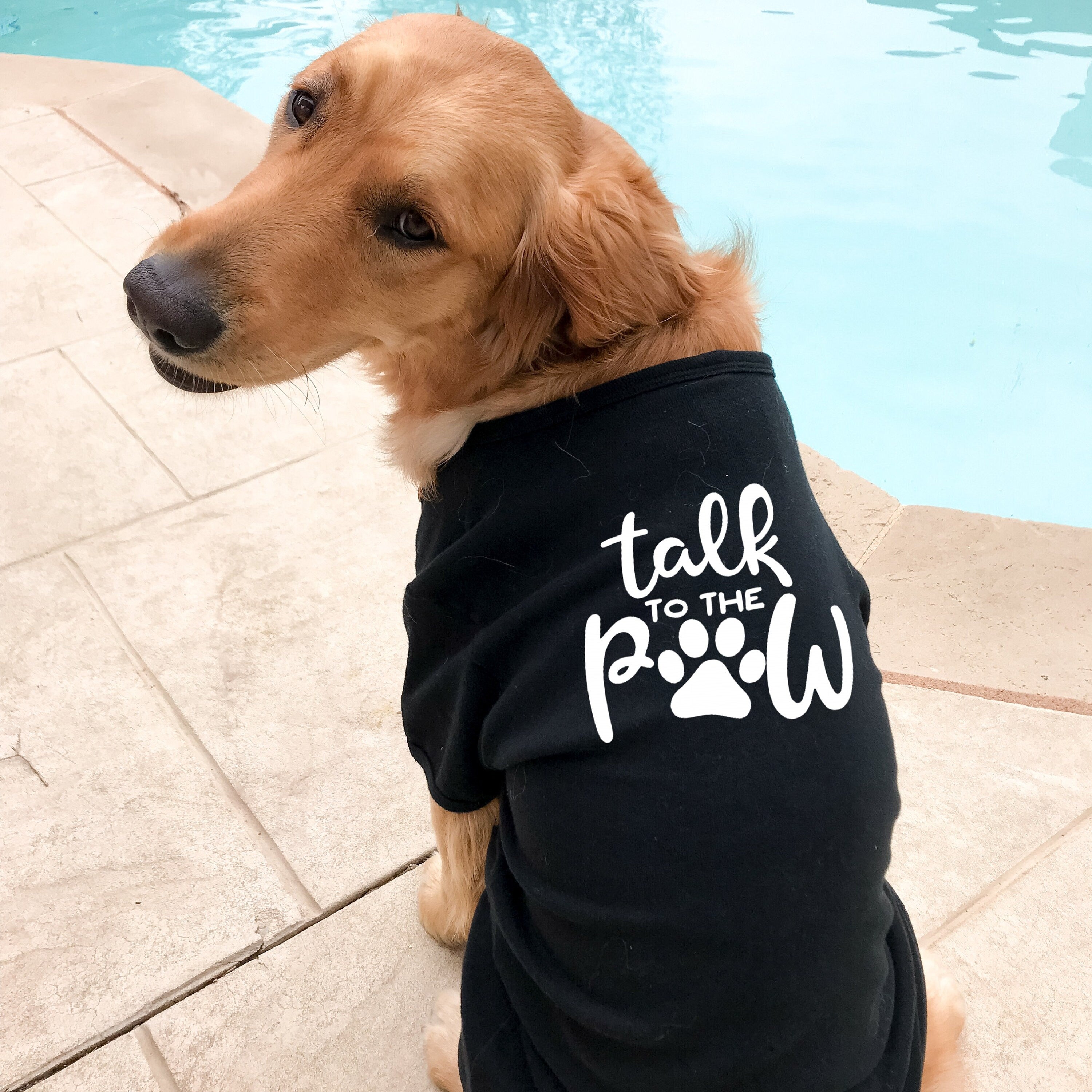 Custom best sale dog tees