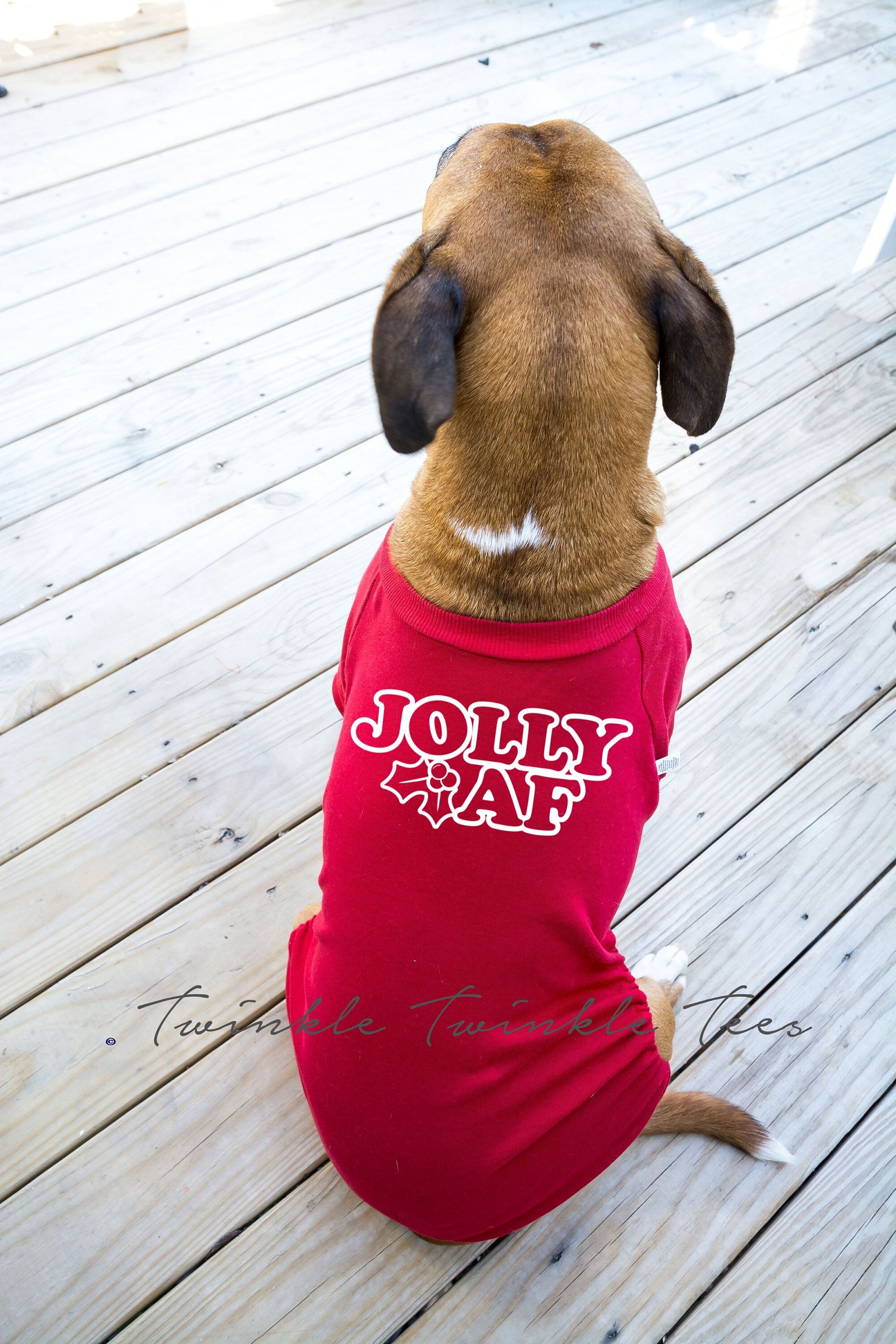 Dachshund store christmas pyjamas